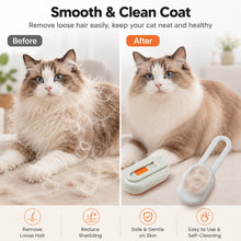 Rechargeable Steam Cat Grooming Brush Steamy To Remove Loose Hair 3 in1 Electric Self Cleaning Spray Dog Brush Massage Pet Combs