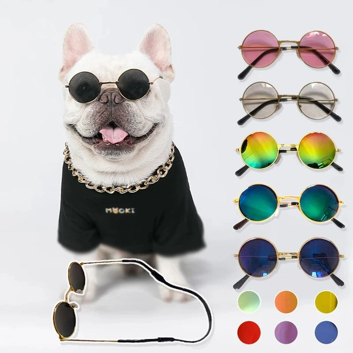 Adorables lunettes de soleil rondes vintage pour chat, reflétant des lunettes pour petit chien, chat, accessoires de photographie pour animaux de compagnie