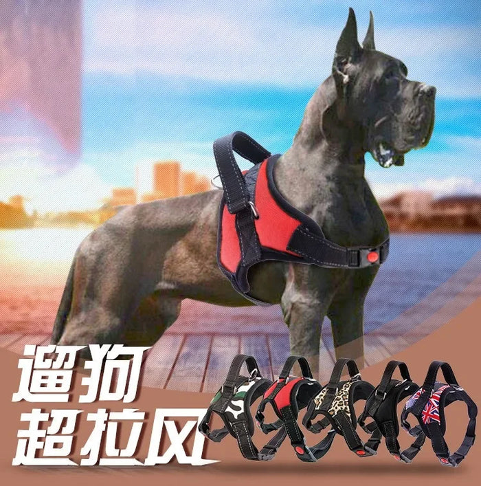 Pet Dog and Cat Adjustable Harness with Leash Reflective and Breathable for Small and Large Dog Harness Vest Pet Supplies