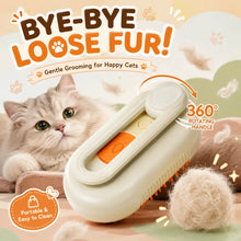 Rechargeable Steam Cat Grooming Brush Steamy To Remove Loose Hair 3 in1 Electric Self Cleaning Spray Dog Brush Massage Pet Combs