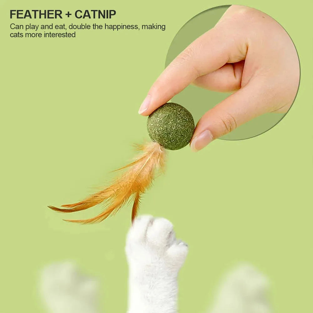 Mouse Mint Ball Feather Catnip Ball Self Cleaning Teeth Grinding Ball Feather Toy Ball Pet Toys Cat Supplies Pet Cleaning Tool