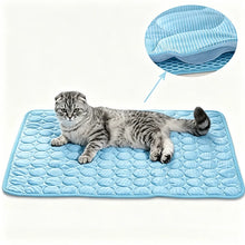 Cooling Pad Summer Cat Dog Sofa Nest Bed Cooling Sleeping Pad for Small Dogs Pets Durable Sofa Cooling Pad Blanket Pet Ice