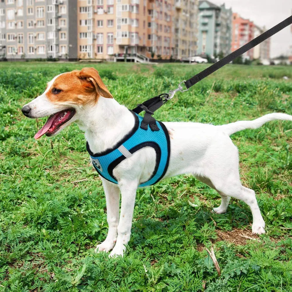 Cat Small Dog Breathable Mesh Harness And Leash Kitten Cats Harnesses Little Dog Puppy Harness For French Bulldog Chihuahua Pug