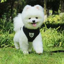Cat Small Dog Breathable Mesh Harness And Leash Kitten Cats Harnesses Little Dog Puppy Harness For French Bulldog Chihuahua Pug