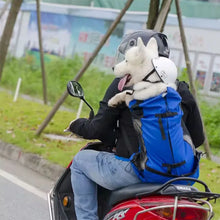 Dog Backpack Carrier Open Top Pet Travel Bag Breathable Washable Portable Outdoor Cycling Shopping Puppy Cat Backpack Pet