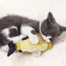 Cat Toy Training Entertainment Fish Plush Stuffed Pillow 20Cm Simulation Fish Cat Toy Fish Interactive Pet Chew Toy Pet Supplies