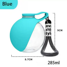 Dog Water Bottle with Removable Silicone Bowl 285ml Portable Dog Drinker 2-in-1 Stainless Steel Travel Pet Supplies