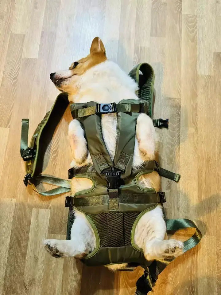 Chest Pet Bag Wrapping Large Dog Backpack, Convenient to Carry when going out, New Product