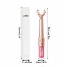 Brillant à lèvres hydratant, rouge à lèvres liquide hydratant automne/hiver, maquillage pour les lèvres longue tenue non gras, brun de Noël