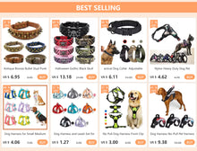 Pet Dog and Cat Adjustable Harness with Leash Reflective and Breathable for Small and Large Dog Harness Vest Pet Supplies
