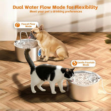 Fontaine à eau pour chat en acier inoxydable, abreuvoir automatique pour animaux de 3,2 litres pour chiens et chats d'intérieur avec filtres remplaçables