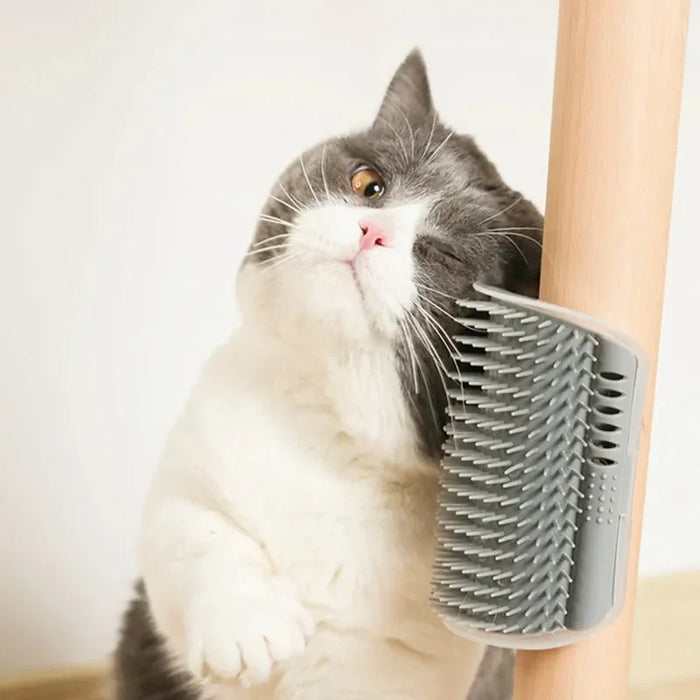 Brosse de massage auto-toilettante pour chat, peigne mural d'angle amovible, accessoire de toilettage et de nettoyage pour animaux