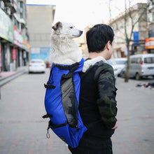 Dog Backpack Carrier Open Top Pet Travel Bag Breathable Washable Portable Outdoor Cycling Shopping Puppy Cat Backpack Pet
