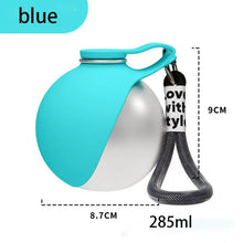 Dog Water Bottle with Removable Silicone Bowl 285ml Portable Dog Drinker 2-in-1 Stainless Steel Travel Pet Supplies