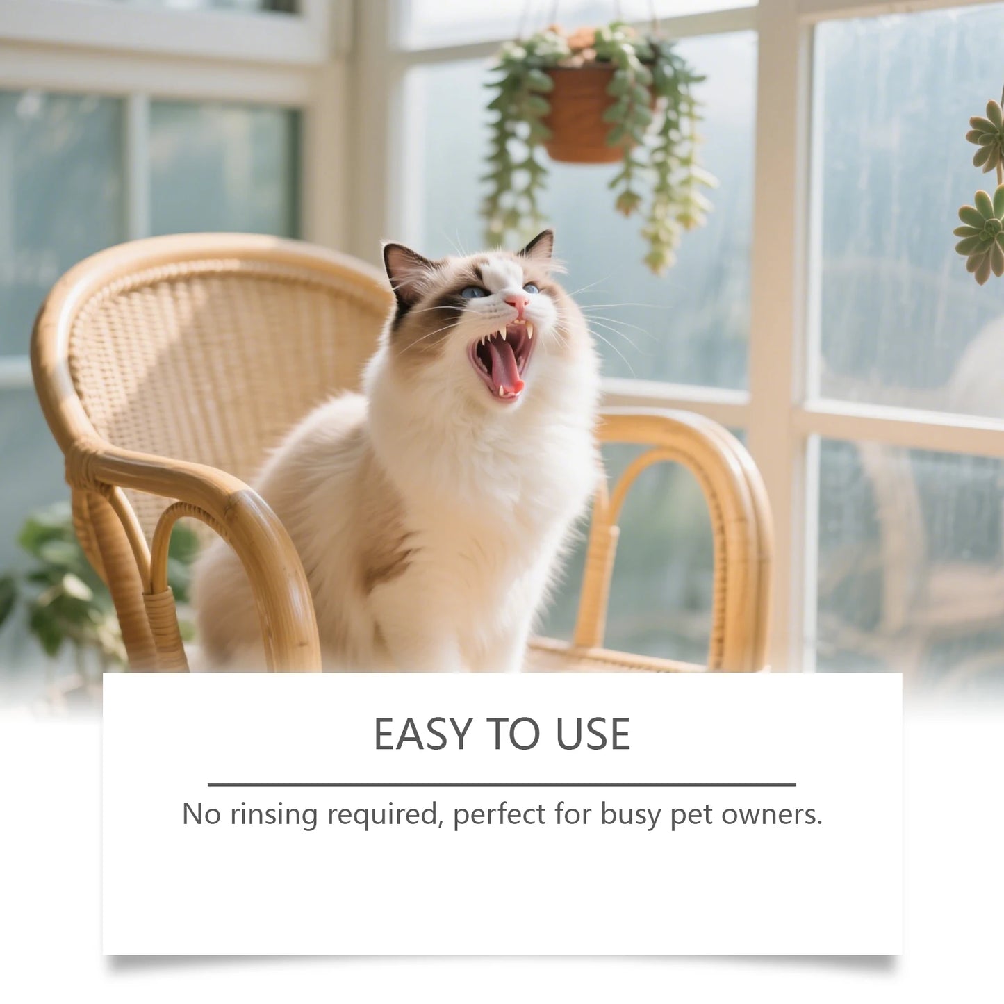 Pet Oral Spray for Dogs Cats Fresh Breath Clean Teeth Remove Plaque Tartar No Rinsing Bad Smell Mouth Harmless Healthy Care