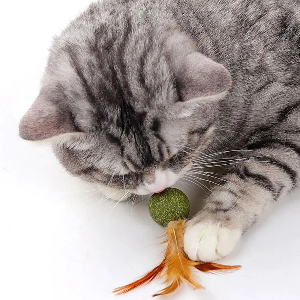 Mouse Mint Ball Feather Catnip Ball Self Cleaning Teeth Grinding Ball Feather Toy Ball Pet Toys Cat Supplies Pet Cleaning Tool