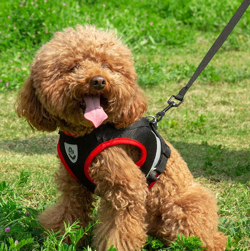 XS/S/M/L/XL Vest Harness Leash Adjustable Vest Strap Puppy Cat Chest Strap Reflective for Small Medium Dogs Cat Harnesses Vest