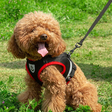 XS/S/M/L/XL Vest Harness Leash Adjustable Vest Strap Puppy Cat Chest Strap Reflective for Small Medium Dogs Cat Harnesses Vest