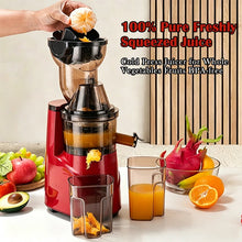 220V Cold Press Juicer Home Slag Separation Ginger Fruit Vegetable Juice Extractor Multifunctional Fruit Slow Juicer Automatic