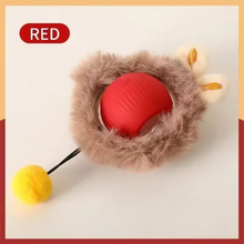 Cat Interactive ball Toy, Automatic Rolling Ball with Tail, Rechargeable Smart Pet Interactive Toy, Intelligent toy for Cat