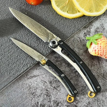 Home Fruit Knife Peeling Knife Folding Knife Mini Knife Gift Knife Kitchen Knife Portable Knife