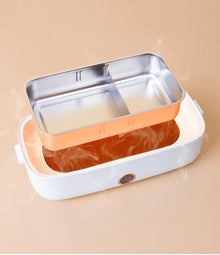 USB Electric Heated Lunch Box Stainless Steel School Student Travel Picnic Car 12V 24V Heating Food Warmer Container 220V Office