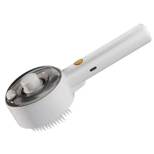 Pet Massage Comb, Cat and Dog Spray One-click Hair Removal Comb, Comb Ultraviolet Mite Removal Comb, Pet Supplies