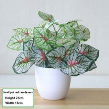 Simulation Plant Plastic Fake Flower And Grass Scindapsus Aureus Leaves Potted Plant