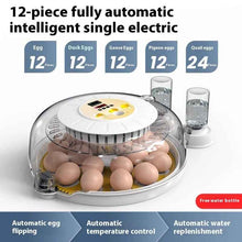 Incubator Small Household Automatic Bird Eggs