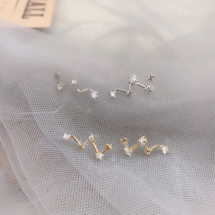 High-grade Light Luxury Design Sense Frosty Style Stud Earrings