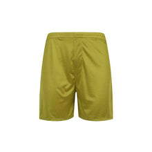 Men's Silk Boxer Briefs Mid-rise Casual