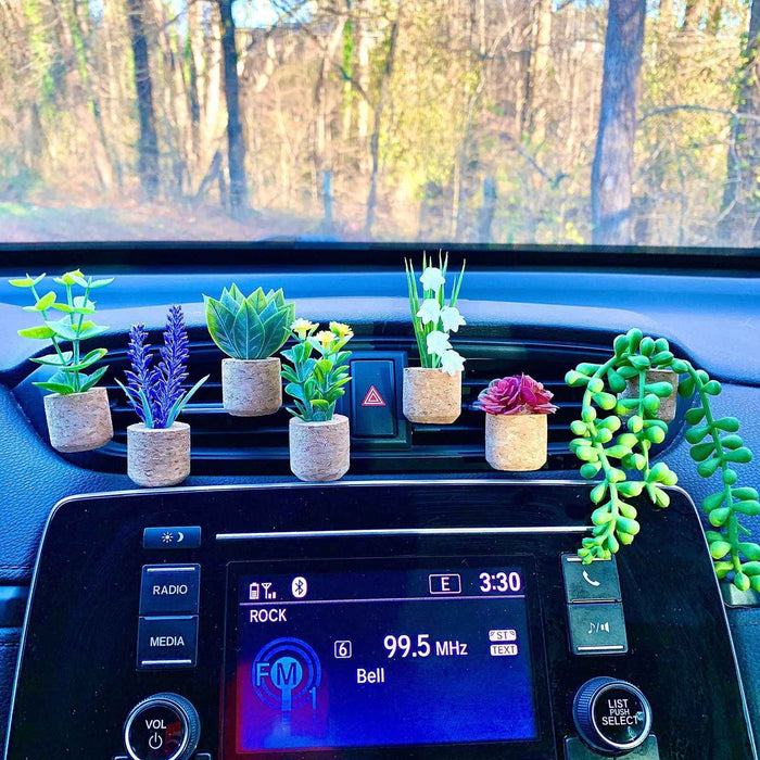 Accessoires créatifs de parfum pour voiture
