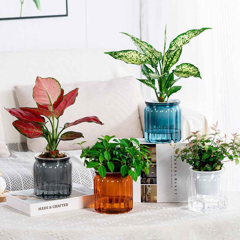 Self-absorbent Lazy Transparent Absorbent Flower Pot Creative Desktop Resin