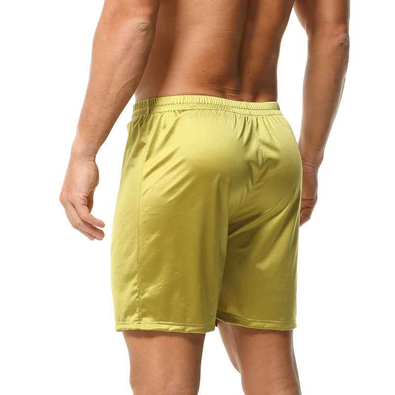 Men's Silk Boxer Briefs Mid-rise Casual