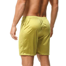 Men's Silk Boxer Briefs Mid-rise Casual