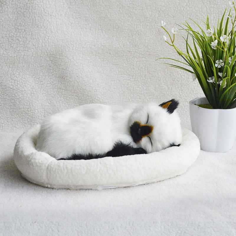 Decoration Creative Birthday Gifts Creative Gifts Crafts Cats That Breathe
