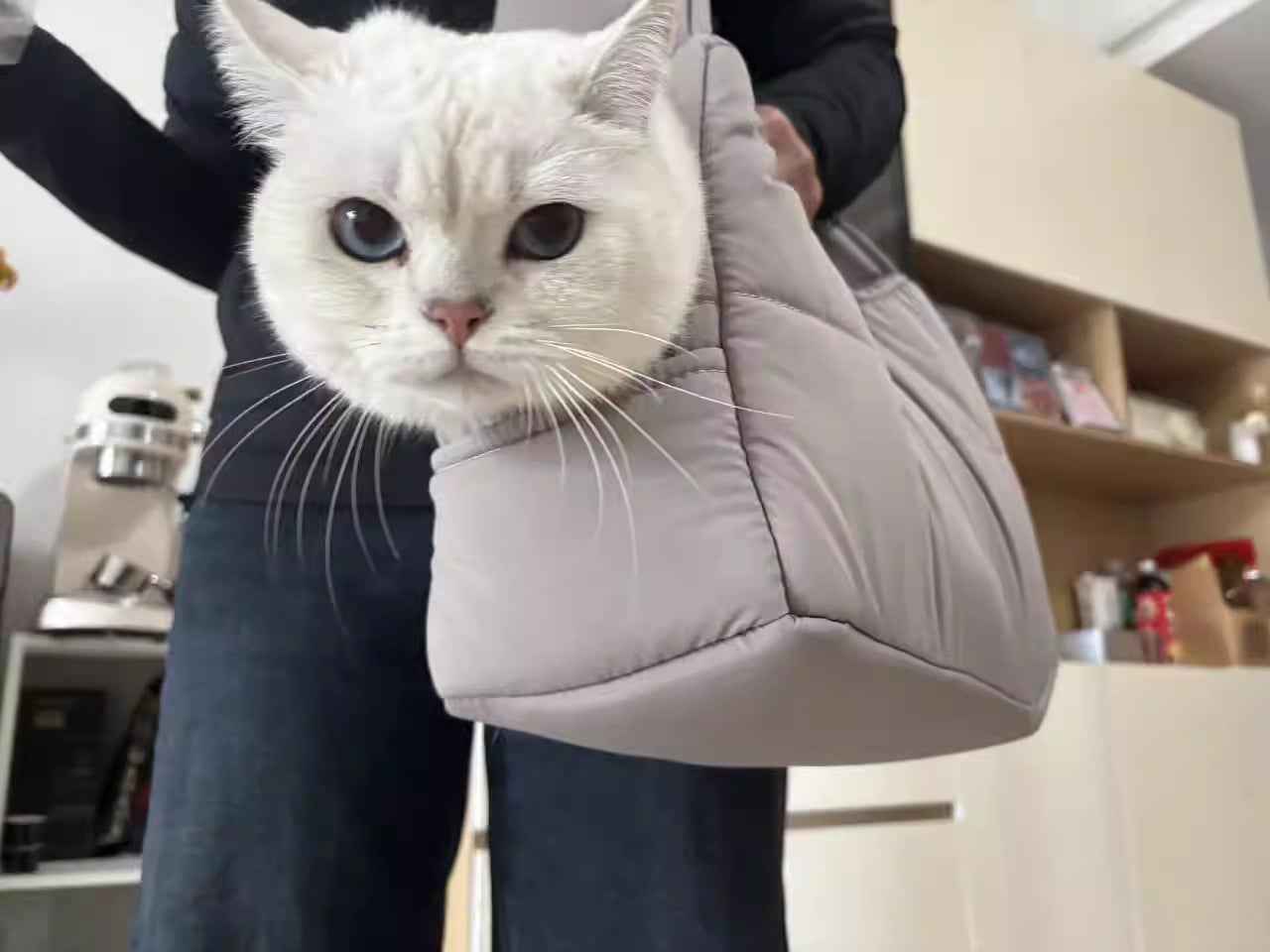 Portable Large-capacity Crossbody Bag For Cats When Going Out