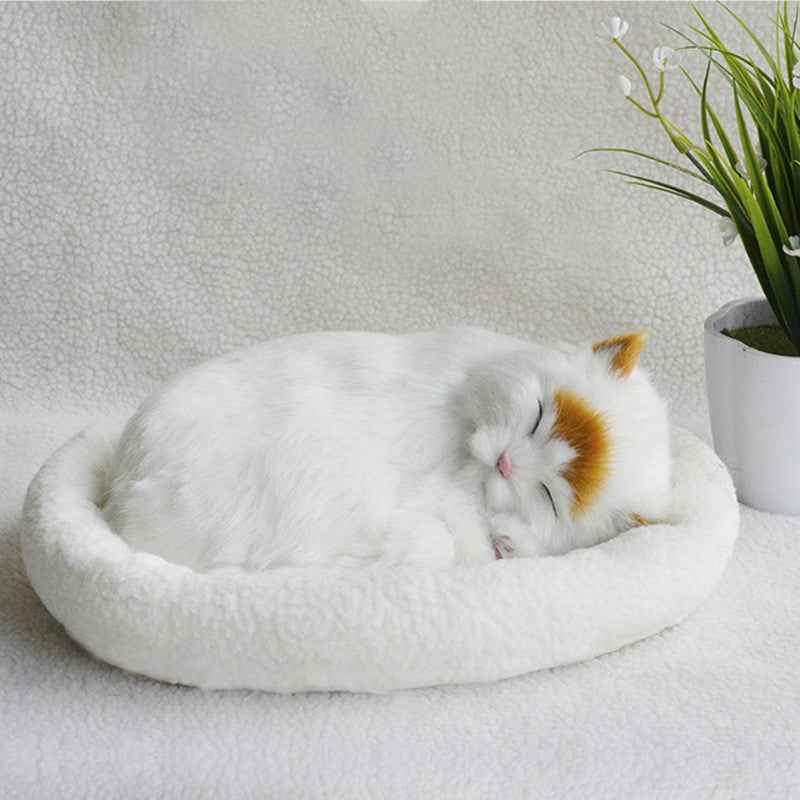 Decoration Creative Birthday Gifts Creative Gifts Crafts Cats That Breathe
