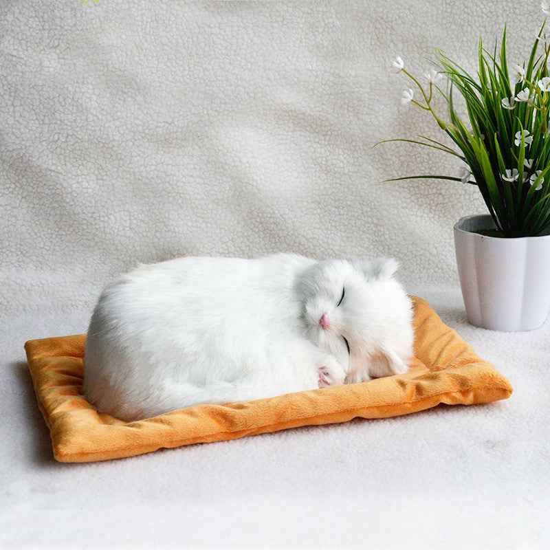 Decoration Creative Birthday Gifts Creative Gifts Crafts Cats That Breathe