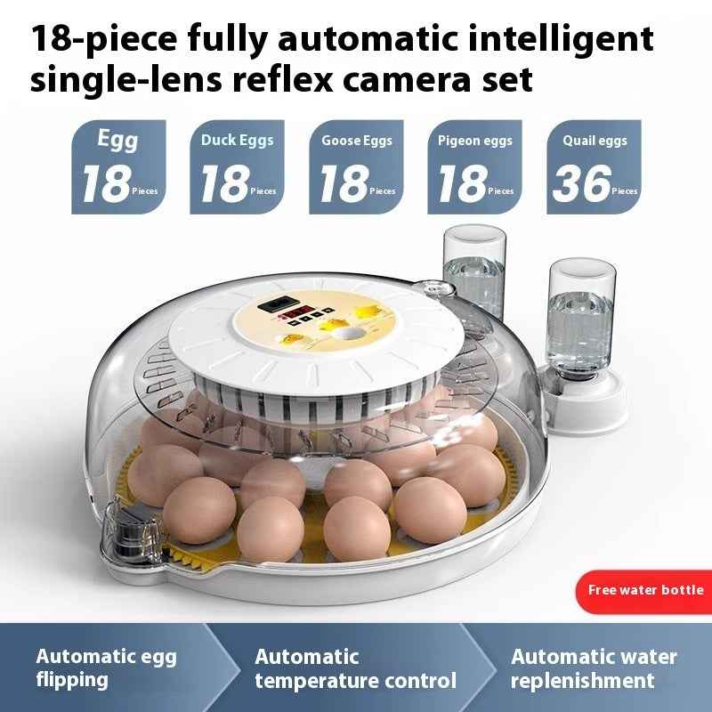 Incubator Small Household Automatic Bird Eggs