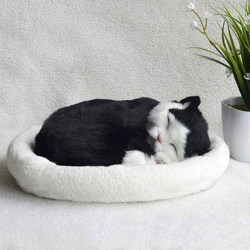 Decoration Creative Birthday Gifts Creative Gifts Crafts Cats That Breathe