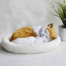 Decoration Creative Birthday Gifts Creative Gifts Crafts Cats That Breathe