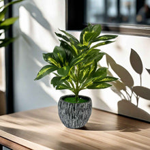 Artificial Green Plant Monstera Fake Flower Supermarket Feel
