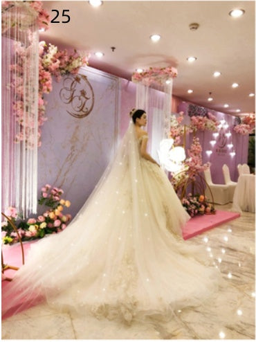 Bridal Wedding Dress Long Tail Luxury Super Fairy Wedding Veil by Mirlaine Univers