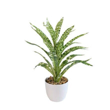 Fake Flower And Greenery Leaf Bonsai Creative Decoration Fashion