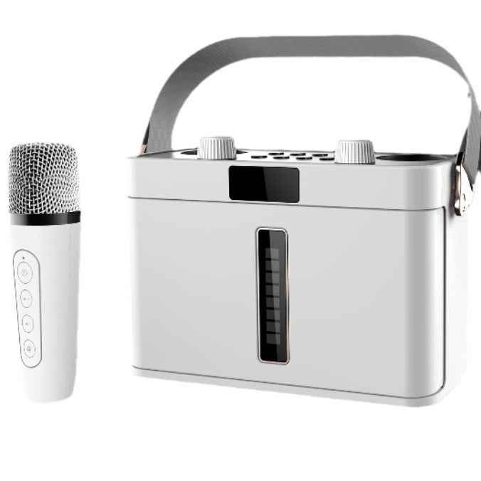 Outdoor Bluetooth Speaker Karaoke Double Microphone Classroom Teaching Meeting Party