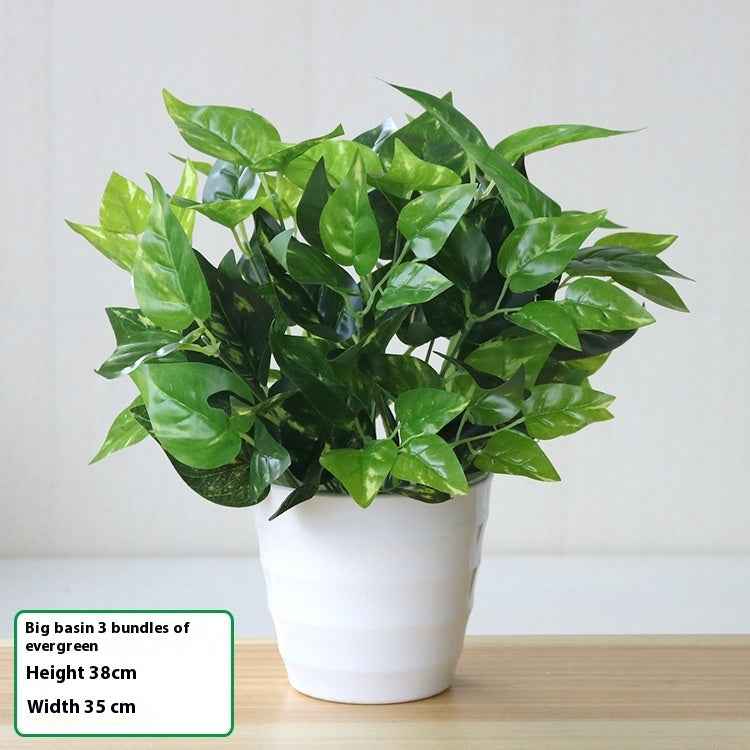 Simulation Plant Plastic Fake Flower And Grass Scindapsus Aureus Leaves Potted Plant