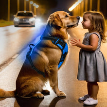 b69c0a6f960f0543a61d5e41a967f984