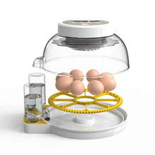 Incubator Small Household Automatic Bird Eggs