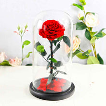 Preserved Flower Rose Finished Glass Cover Gift Box
